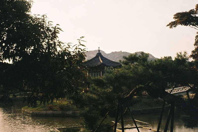 TheCampamento-SS25-Seoul-00.jpg