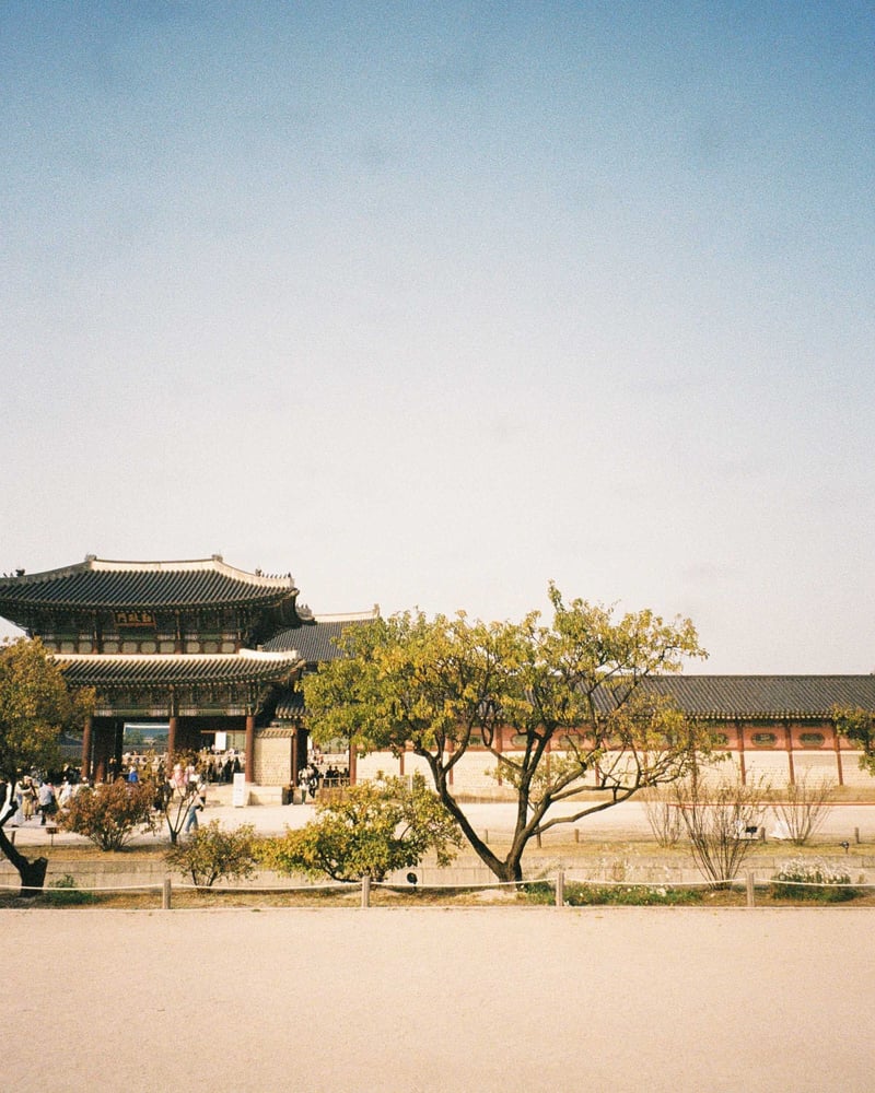 TheCampamento-SS25-Seoul-12.jpg