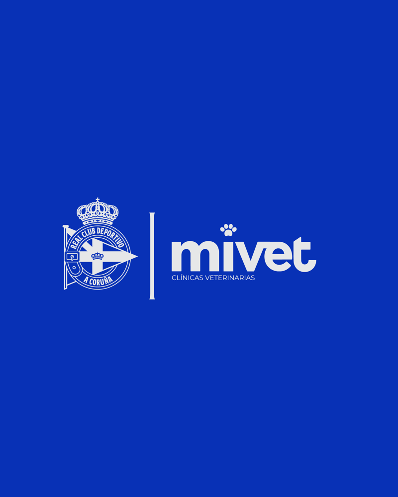 Composite2627_MiVet_WEB-IG-Card.png